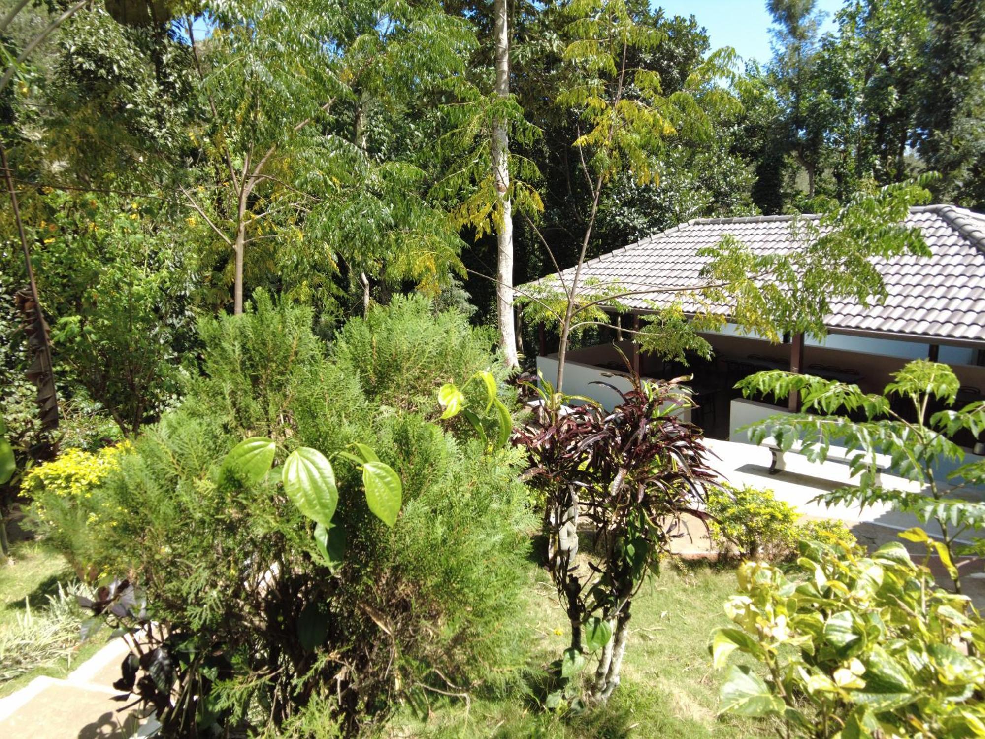Seattle Garden Resort - Kollihills Экстерьер фото